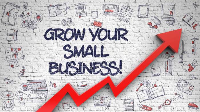 Business small management success tips opstart